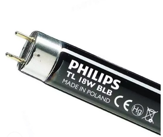 Philips BLB UV T8 Tube Light Poland